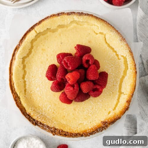 Ricotta cheesecake, perfectly baked and ready to be served.