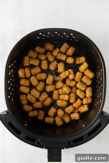 No-Fuss Totchos 2 Tater tots cooking to golden perfection in an air fryer basket.