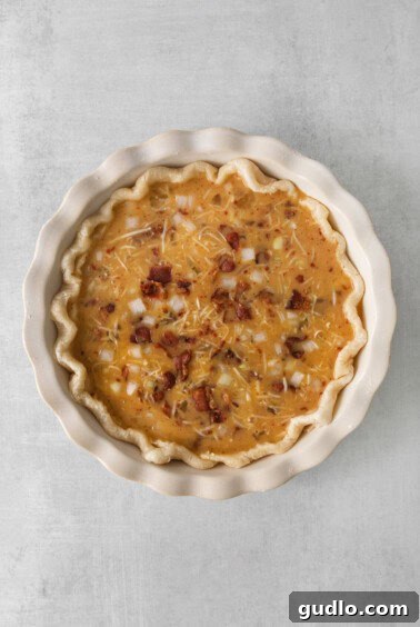 Classic French Quiche Lorraine 7 A pie with cheese and bacon in a white dish, before pouring in the egg mixture.