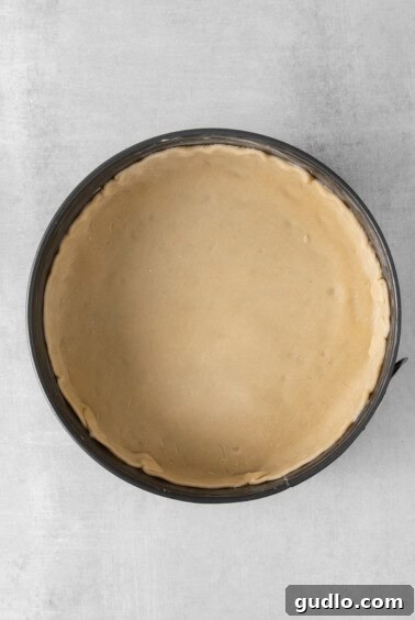 A single pie crust lining a springform pan on a white background.