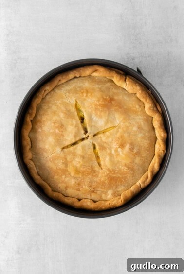 A golden-brown baked Italian Easter pie still in its springform pan on a grey background.