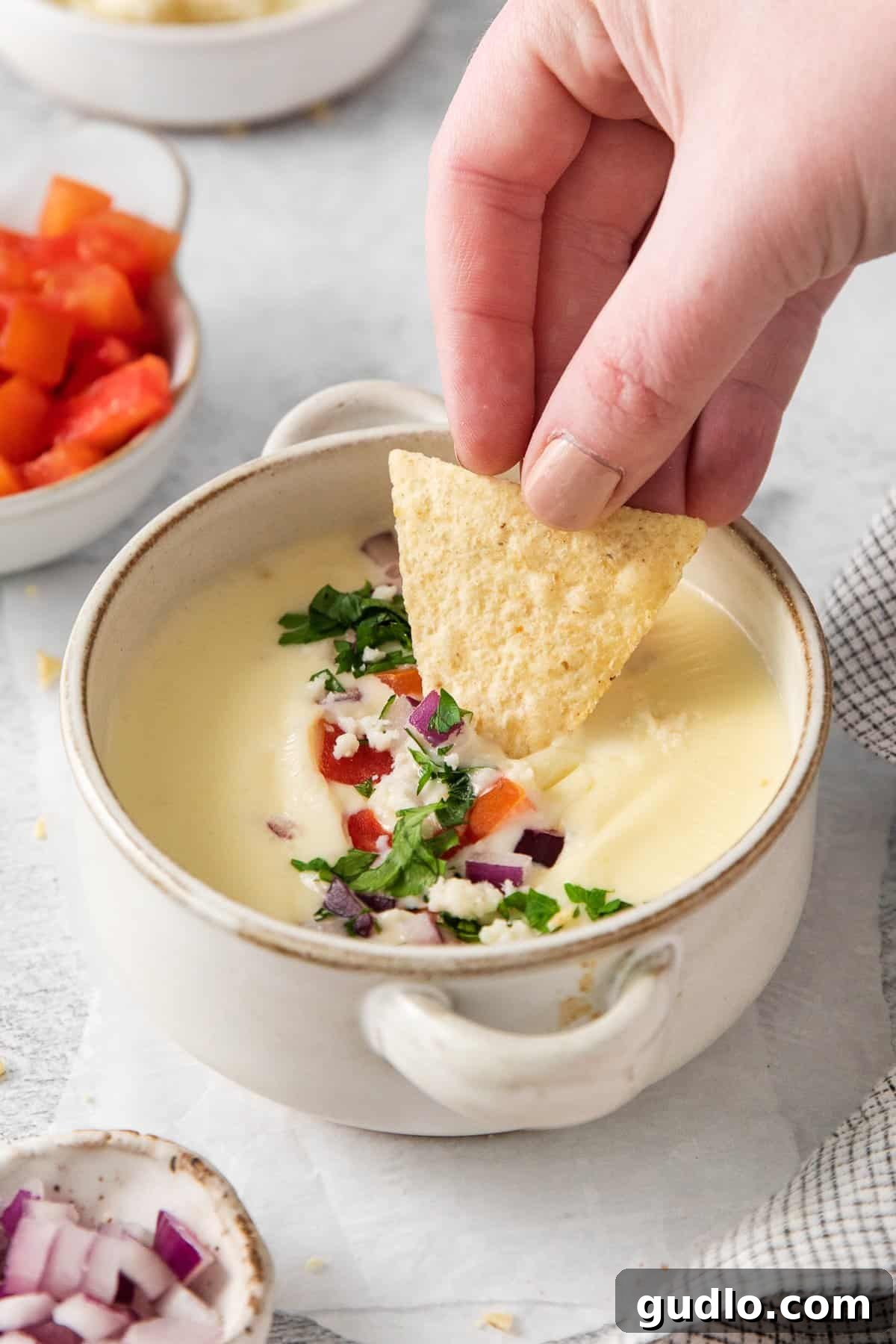 A tortilla chip being dipped into a rich, creamy Cotija queso dip garnished with fresh cilantro, diced tomatoes, and red onions.