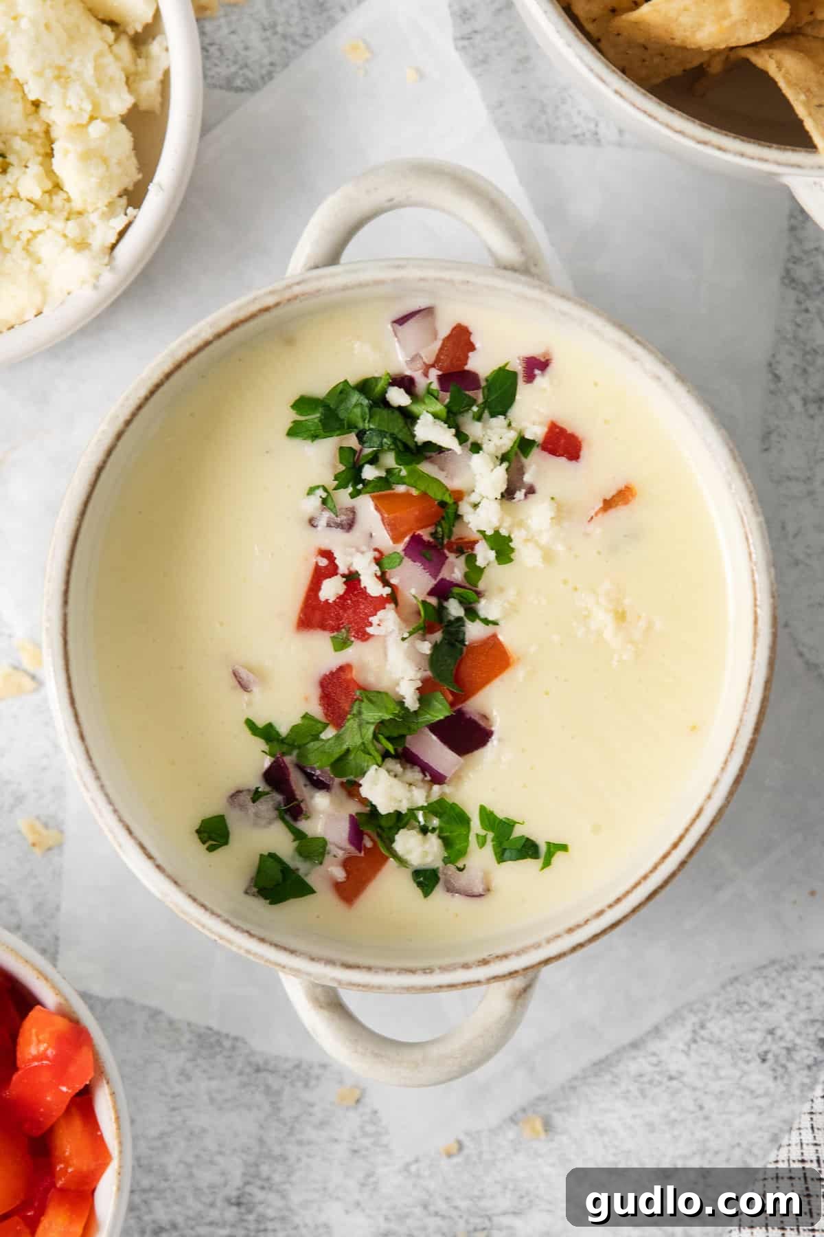 A bowl of creamy Cotija queso dip generously topped with vibrant diced tomatoes, fresh cilantro, and minced red onion, ready to be enjoyed.