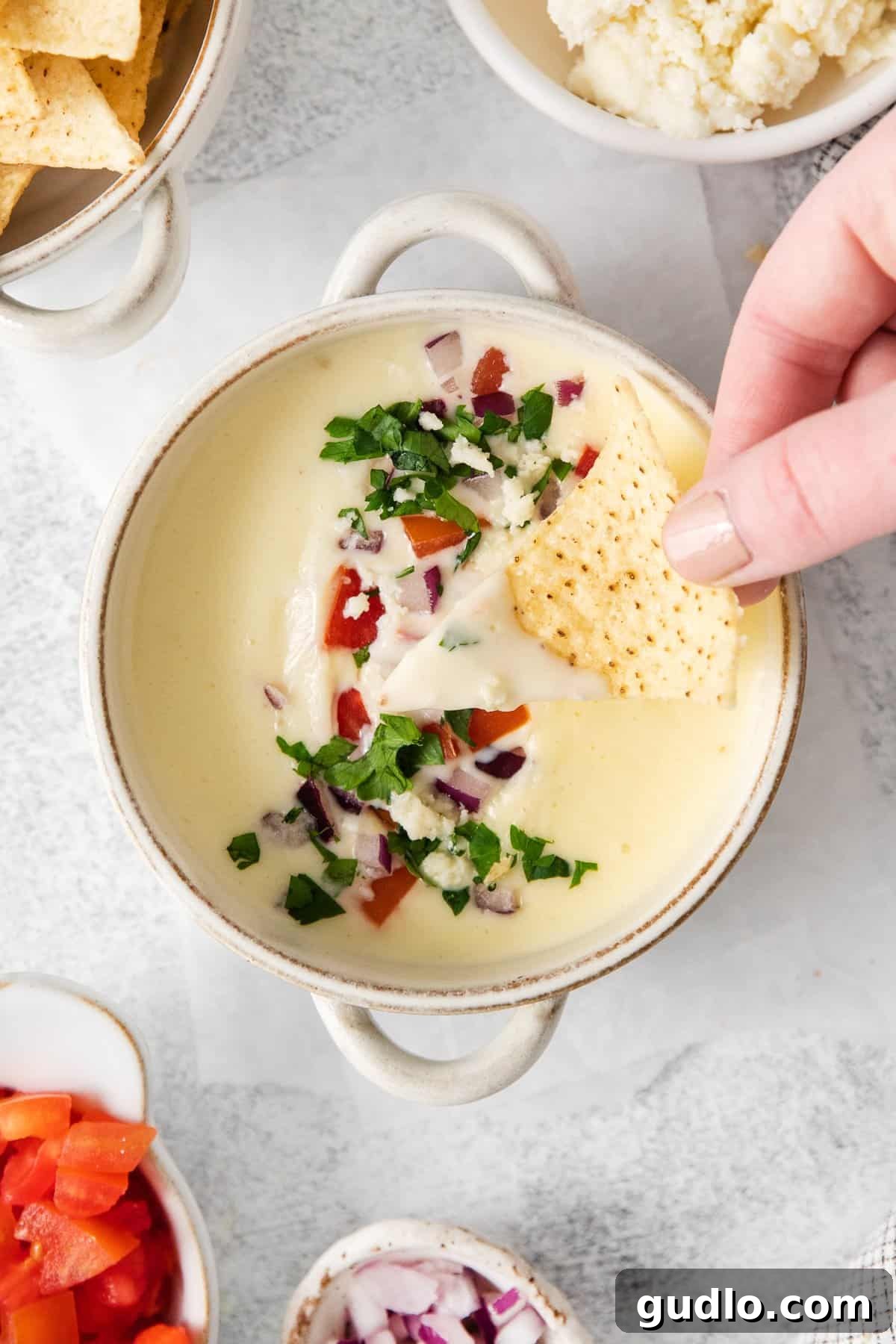 A hand holding a tortilla chip dipped into the creamy Cotija queso dip, showcasing its perfect dipping consistency.