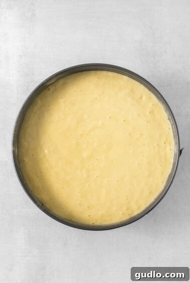 Luminous Lemon Olive Oil Cake 14 Smooth yellow cake batter neatly poured into a parchment-lined springform pan, awaiting its time in the oven.