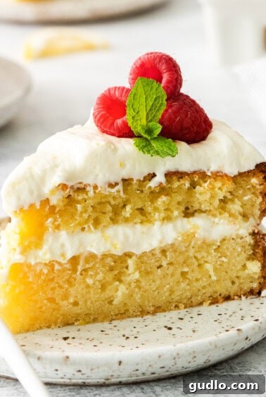 Luminous Lemon Olive Oil Cake 19 A beautiful slice of lemon olive oil cake, garnished with lemon zest, resting on a white plate, invitingly ready to be eaten.