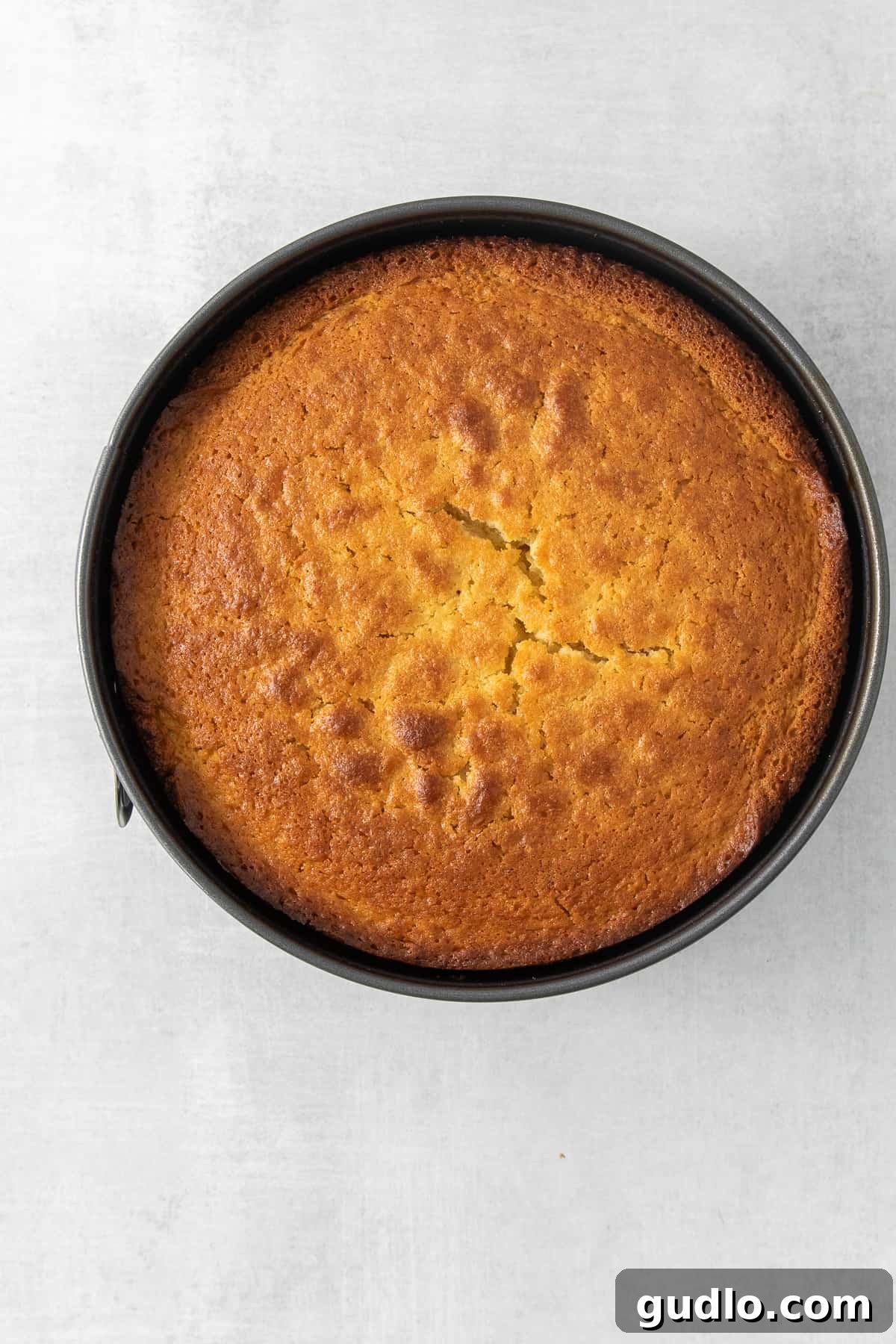 Luminous Lemon Olive Oil Cake 5 A golden-brown lemon olive oil cake, freshly baked and still in its spring-form pan, sitting on a cooling rack, filling the kitchen with its inviting aroma.