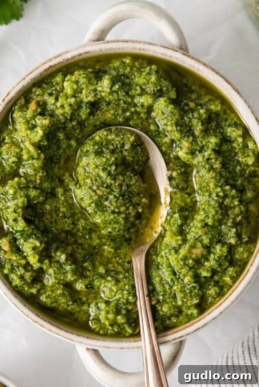 Cilantro pesto in a bowl with a spoon.