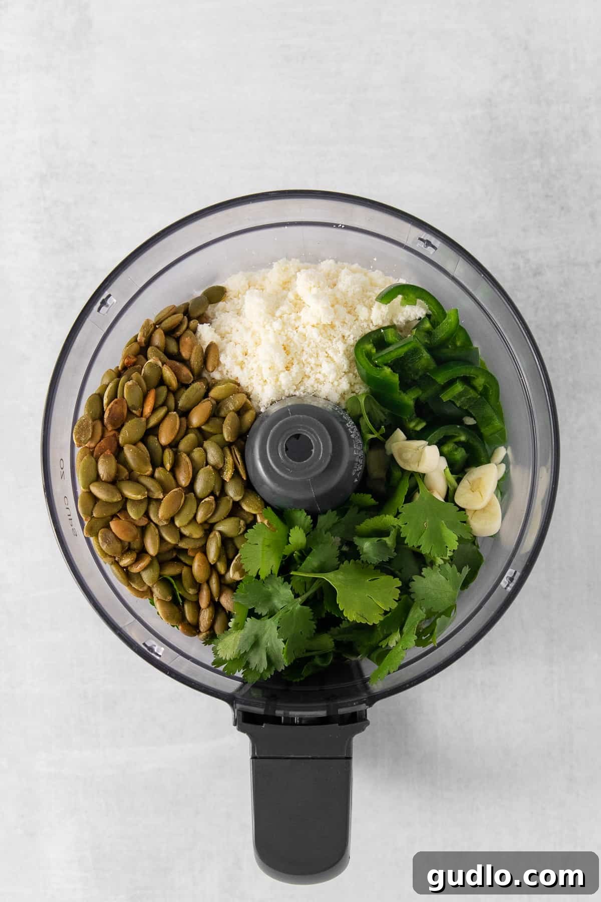 Ingredients for cilantro pesto being added to a food processor before blending.