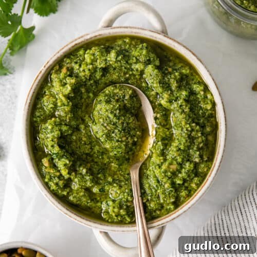 Cilantro pesto in a bowl with a spoon.