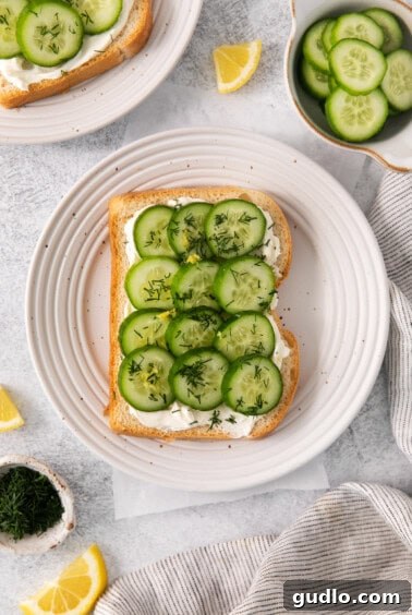 Refreshing Cucumber Cream Cheese Sandwiches 10 Cucumber and fresh dill on a piece of white bread.