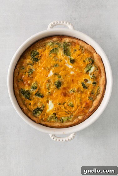 A baked quiche with broccoli and cheese, showing its golden-brown top and fluffy texture.