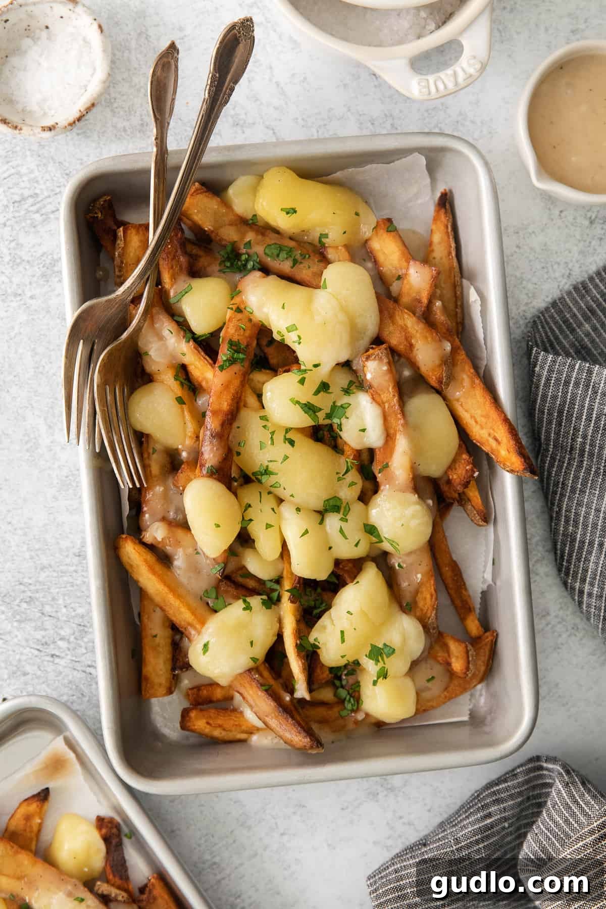 A beautifully plated dish of poutine, showcasing the golden fries, rich gravy, and distinct white cheese curds, ready to be enjoyed.