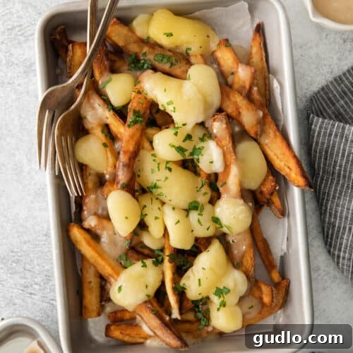 A plate of golden French fries generously topped with melting cheese curds and rich brown gravy, ready to be served.