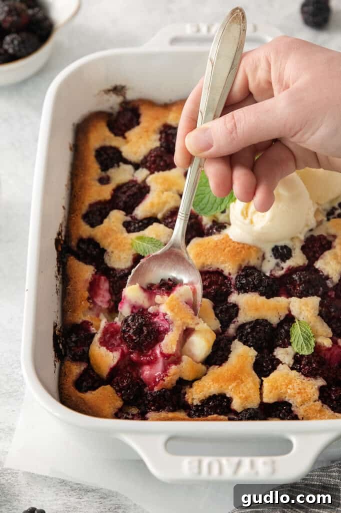 Tangy Blackberry Cream Cheese Cobbler 2 A vibrant cream cheese blackberry cobbler served warm with a scoop of melting vanilla ice cream.