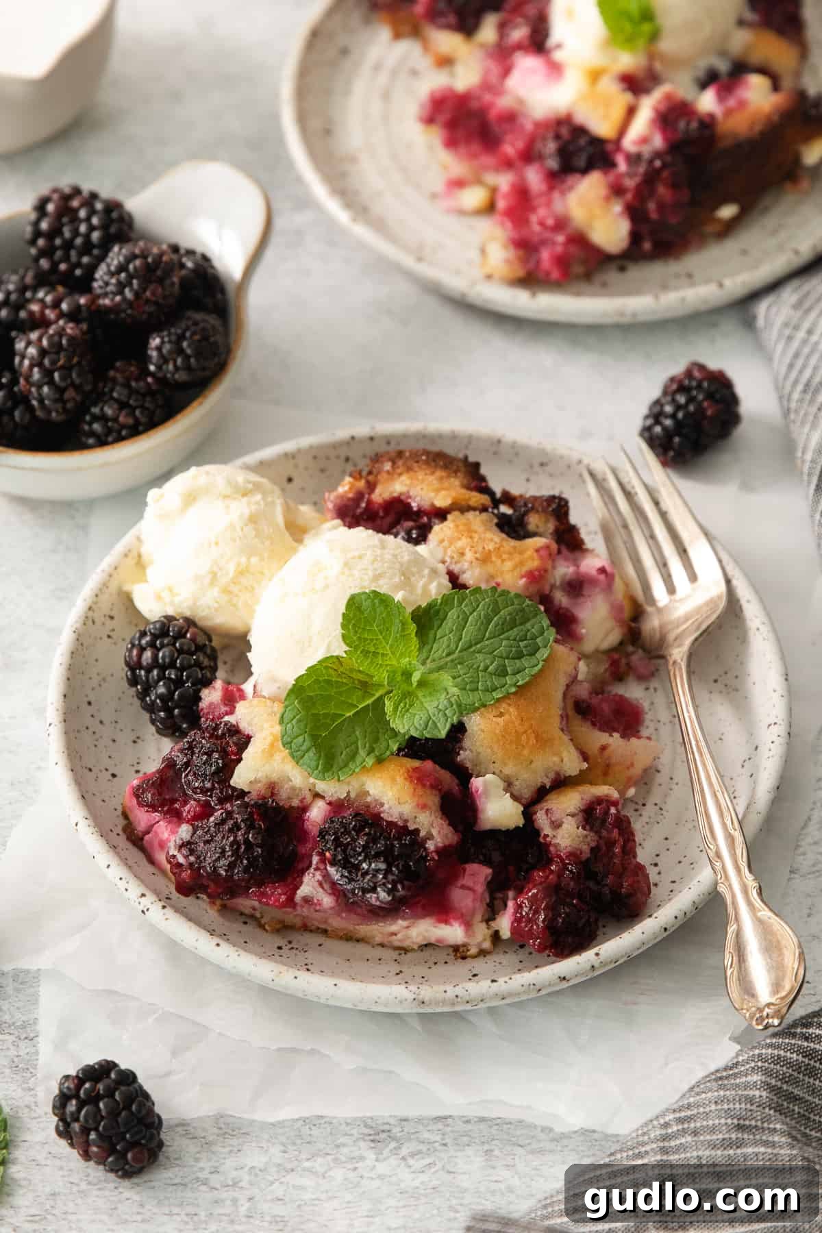 Tangy Blackberry Cream Cheese Cobbler 7 A serving of warm blackberry cobbler with a dollop of melting vanilla ice cream on a white plate.
