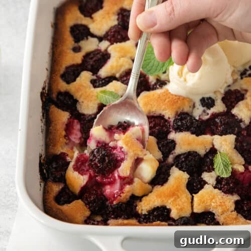 Tangy Blackberry Cream Cheese Cobbler 8 A delightful image of a serving of Cream Cheese Blackberry Cobbler with a scoop of vanilla ice cream on top.