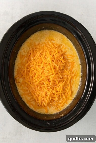 Ultimate Velveeta Crockpot Mac and Cheese 14 a bowl of cheesy chow mein in a slow cooker.