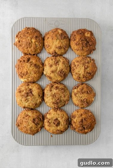 Decadent Cream Cheese Banana Bread Muffins 15 Warm muffins in a metal pan resting on a grey background.