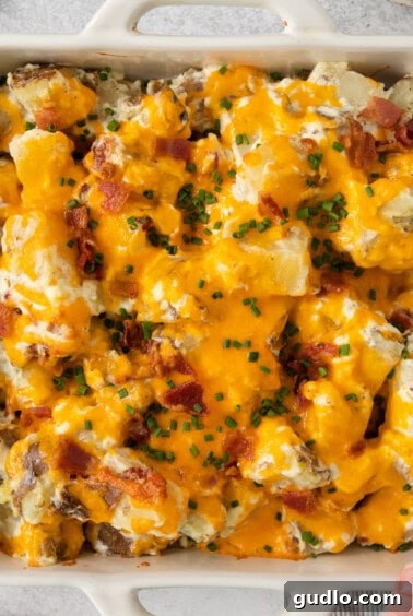 Ultimate Loaded Potato Bake 12 A perfectly baked cheesy potato casserole in a white baking dish, golden and bubbly, fresh out of the oven.