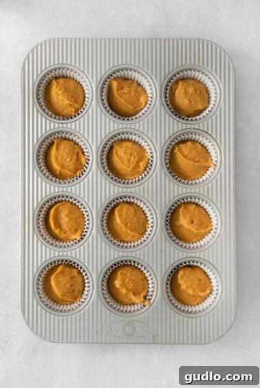 Cream Cheese Swirl Pumpkin Muffins 12 A muffin tin neatly filled with uniform portions of pumpkin muffin batter, ready for the next step in the baking process.