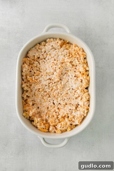 a casserole dish filled with rice and meat.