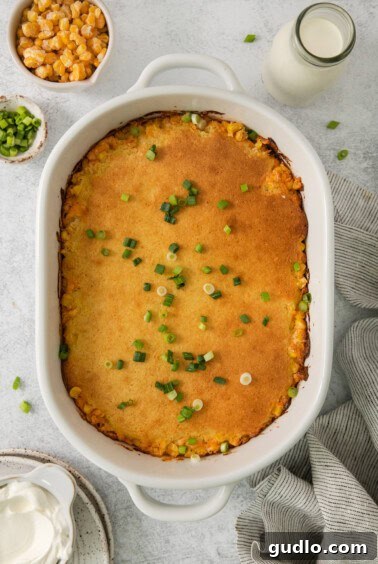 a casserole dish with peas, peas, and sour cream.