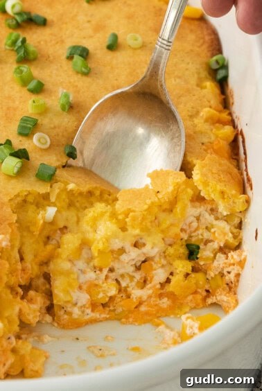 a close up of a spoon in a casserole dish.
