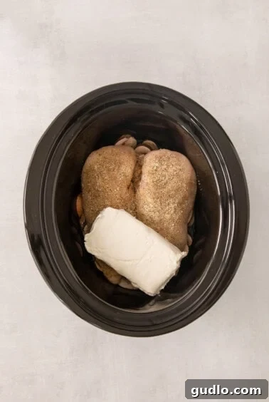 A black crock pot filled with boneless chicken breasts, a block of cream cheese, and sliced mushrooms, ready for the slow cooking process to begin.