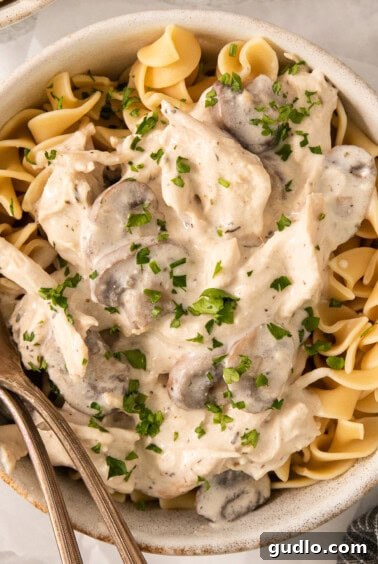 A finished bowl of creamy slow cooker cream cheese chicken with mushrooms, perfectly garnished and ready to enjoy with a fork.