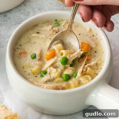 A spoonful of creamy chicken noodle soup being lifted from a white bowl, showcasing the tender chicken, pasta, and vegetables suspended in the rich, creamy broth.