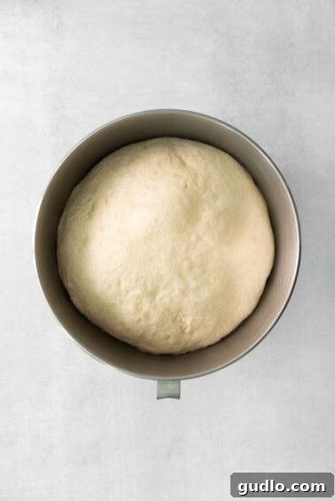 A large ball of risen dough, visibly doubled in size, in a metal bowl covered with a tea towel.