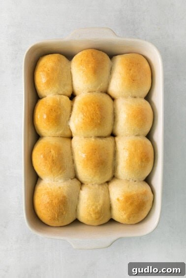 Freshly baked, golden brown bread rolls in a baking dish, hot out of the oven.