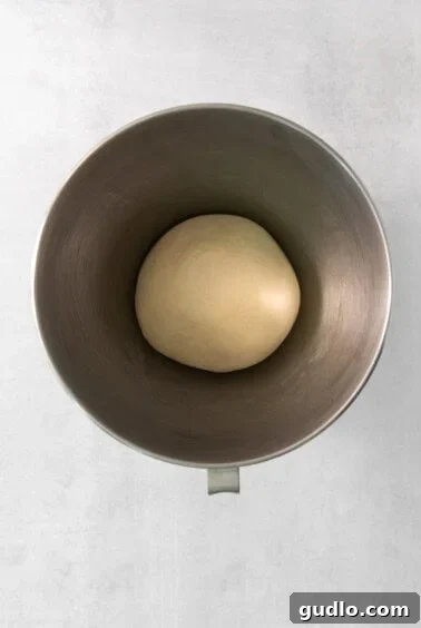 A perfectly kneaded ball of soft dough resting in a metal bowl on a clean white background.