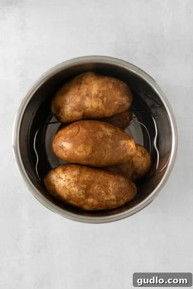 Decadent Twice-Baked Potato Bake 9 Perfectly roasted, tender potatoes resting in a metal bowl, ready for mashing, on a clean white background.