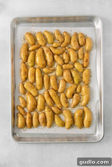Golden Parmesan Potatoes 6 Close-up of raw potato halves arranged cut-side down on a baking sheet covered with a layer of Parmesan cheese and herbs.
