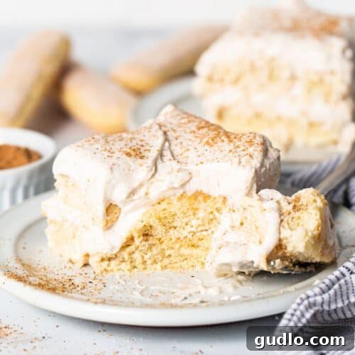 A slice of creamy Eggnog Tiramisu on a plate, garnished with spices.