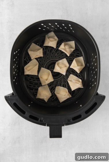 An air fryer basket being prepared with sprayed dumplings.