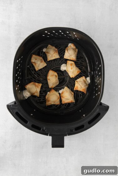 A black grill basket filled with perfectly air-fried dumplings.