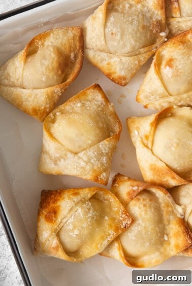 A baking dish with a tray of fried dumplings and a bowl of dipping sauce.