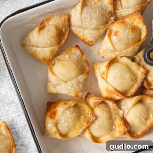 A baking dish with a tray of fried dumplings, beautifully presented.