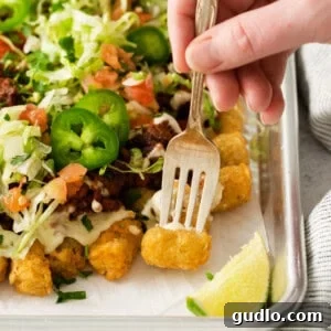 No-Fuss Air Fryer Nachos 7 A plate of golden totchos, featuring crispy tater tots smothered in melted cheese, savory toppings, and a drizzle of sauce.
