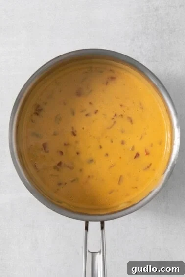 Quick Velveeta Queso: Ready in 15 Minutes 11 A pan full of soup on a white background.
