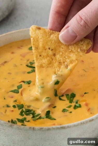 Quick Velveeta Queso: Ready in 15 Minutes 13 A person dipping a tortilla chip into a bowl of cheese dip.