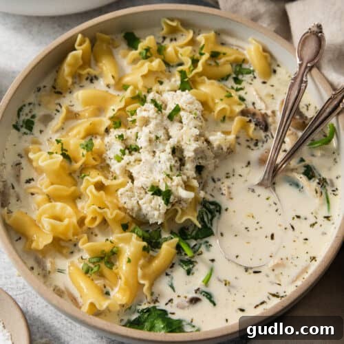 Hearty Cream Lasagna Soup 6 A bowl of creamy pasta soup with spinach and cheese, garnished for serving.