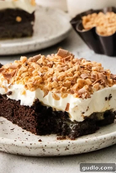 Ultimate Indulgence Cake 17 A beautifully plated slice of chocolate cake with frosting and toffee, ready for serving.