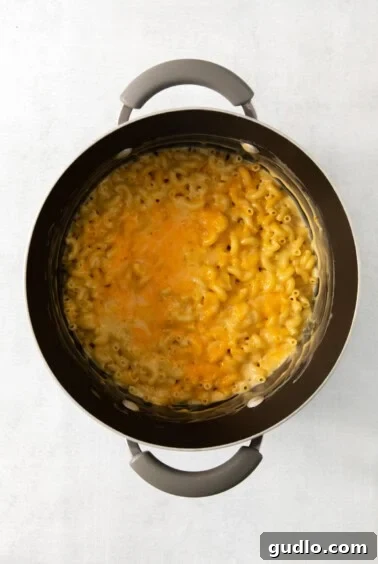 Macaroni and cheese in a pot on a white surface, with melted cheese sauce.