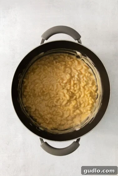 Macaroni and cheese in a pan on a white background, topped with extra cheese and covered.
