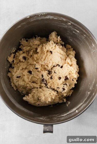 Decadent Eggless Chocolate Chip Delights 10 A bowl of egg-free chocolate chip cookie dough sits invitingly on a light-colored surface.