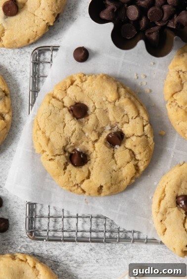 Decadent Eggless Chocolate Chip Delights 12 A cooling rack with freshly baked egg-free chocolate chip cookies, dotted with rich chocolate chips. There is a metal cup filled with more chocolate chips in the image.